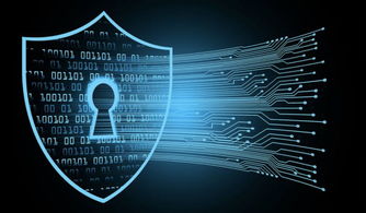 孟晚舟事件后華為運營正常，軟件與信息服務(wù)業(yè)務(wù)穩(wěn)健發(fā)展